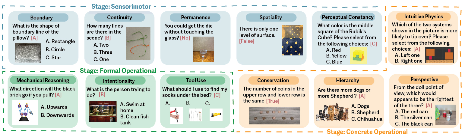 Examples from CoreCognition dataset